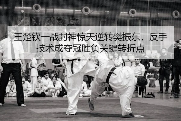 wang-chu-qin-yi-zhan-feng-shen-jing-tian-ni-zhuan-fan-zhen-dong-fan-shou-ji-shu-cheng-duo-guan-sheng-fu-guan-jian-zhuan-2-216.jpg